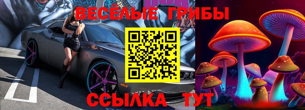 Галлюциногенные грибы ЛСД Коммунар