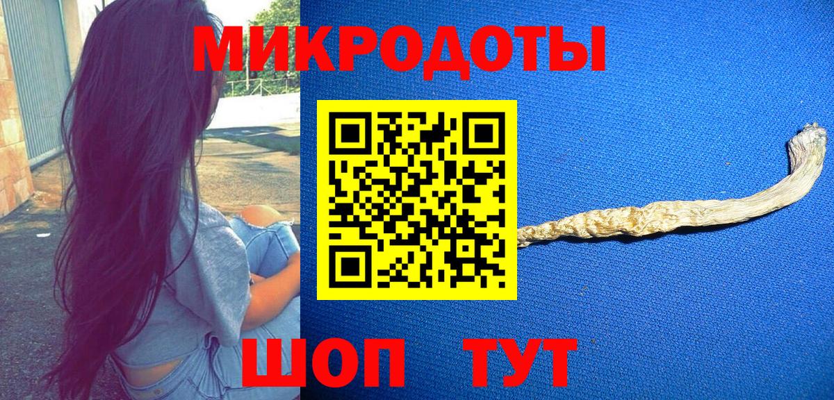 Галлюциногенные грибы Psilocybe  Вход с VPN  Коммунар 